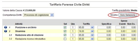 mostra attività selezionate mostra attività selezionate