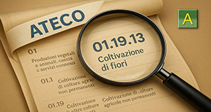Ricerca Codici Ateco 2025