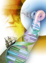 Riconoscimento paternità il test del dna (immagine da: scienzagiovane.unibo.it)