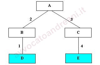 Gradi di Parentela - Esempio n.5